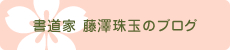 書道家 藤澤珠玉のブログ